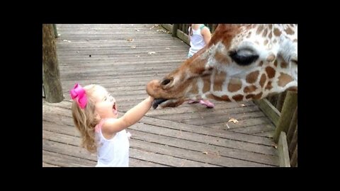 #pet #animal #kid FORGET CATS! Funny KIDS vs ZOO ANIMALS are WAY FUNNIER! - TRY NOT TO LAUGH