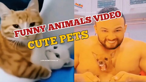 FUNNY ANIMALS VIDEO | CUTE PETS