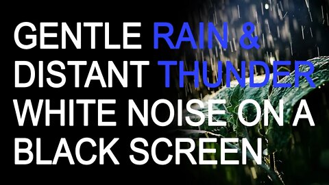 Gentle Night Rain & Distant Rolling Thunder White Noise on a Black Screen