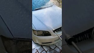 HOLDEN COMMODORE NEEDING A CLEAN