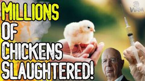 MILLIONS OF CHICKENS SLAUGHTERED! - Bird Flu Hoax & The DEVASTATION & Vaccination Of The Food Supply
