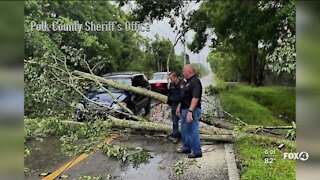 Trees and powerlines down after storms