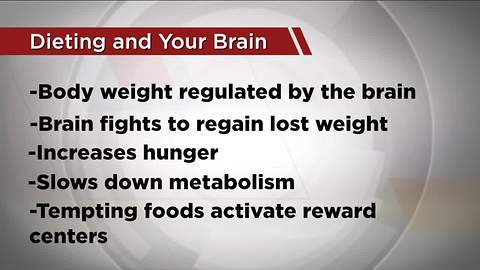 Ask Dr. Nandi: What happens to your brain when you go on a diet