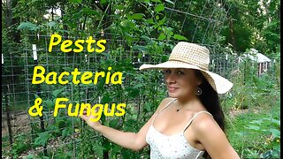 How I Manage My Garden Organically/Pests, Bacterias, and Funguses