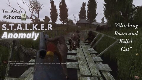 Glitching Boars and Killer Cat (S.T.A.L.K.E.R Anomaly) #Shorts