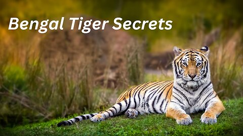 Unveiling the Mysterious Secrets of Bengal Tigers