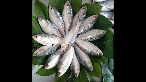 Bangladesh National Fish