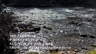 Bumping River Shoreline Perspective from INCREDIBLE Campsite! | 4K | Okanogan-Wenatchee | Washington