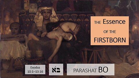 Parashat Bo: Exodus 10:1—13:16 – The Essence of Firstborn