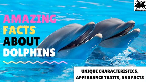 Amazing Facts About Dolphins | Dolphin Fish Facts, Traits And Appearance| Animals Addict
