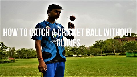 How to Catch a Cricket Ball Without Gloves (2023)