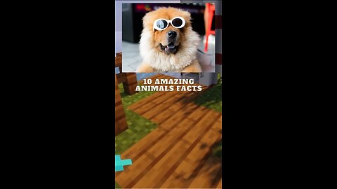 Amazing Animal Facts