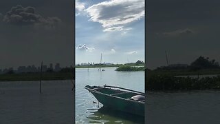 Laguna Lake Boats w/City Skyline #shorts #shortsvideo #water #asmr