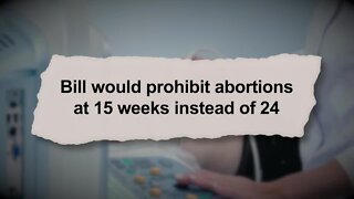 Florida Senate prepares to vote on controversial abortion bill