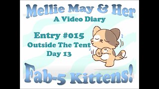Video Diary Entry 015: A Foreign Land Outside The Tent - Day 13