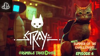 Summer of Games - Episode 6: Stray! [4/100] | Rumble Gaming