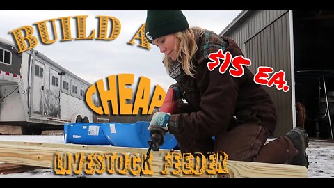 She Built a Cheap Livestock Feeder PLUS Naughty Horses and MUD