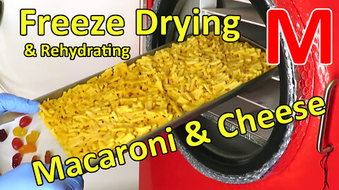 Freeze Drying Macaroni & Cheese