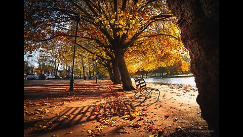 Autumn The River Ouse Bedford Riverside