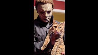 Michael Myers Cat..