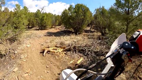 Riding Around - vlog #122 - Flowy Singletrack!