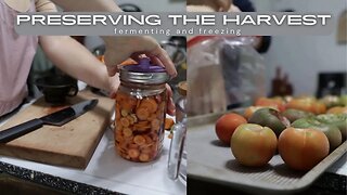 FERMENTING CARROTS | FREEZING WHOLE TOMATOES