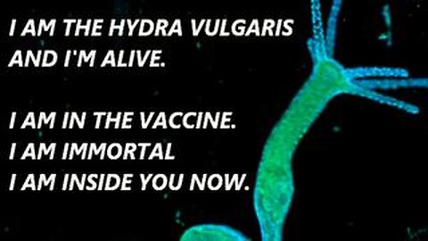 HERE IS A LIVING CREATURE INSIDE THE VACCINE. IT IS IMMORTAL. THE "HYDRA VULGARIS" #RUMBLETAKEOVER #RUMBLE