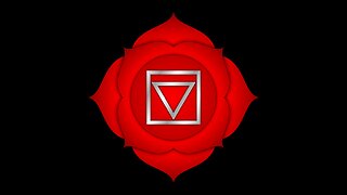 Manifest Your Dreams: Root Chakra Activation Using Switch Words!