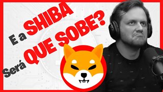 🤔 Shiba inu vai continuar subindo? Ou Shiba é [LIXO]