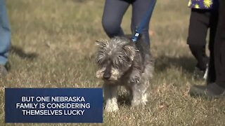 Nebraska family reunited with dog lost over 2 years