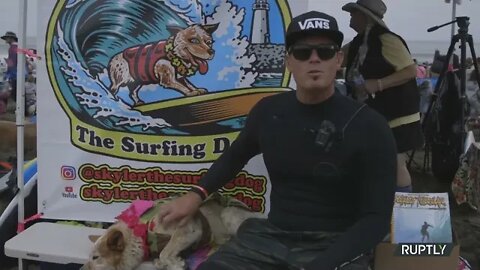 'Pawsome' pooches hit the waves at the World Dog Surfing Championships in California