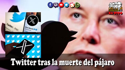 TWITTER tras la muerte del pájaro