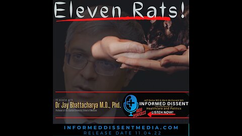 Informed Dissent - Eleven Rats - Dr Jay Bhattacharya