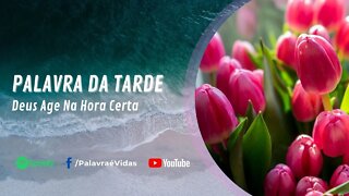 Palavra da Tarde Abençoada - Deus Age Na Hora Certa