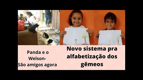 Novo sistema de alfabetização pra escola municipal - Adaptação de gato e cachorro- vlog rotina