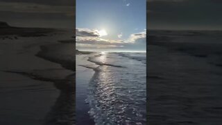 Standing in the water at the beach