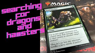 Searching for Dragons and Hamsters in MTG Baldurs Gate Box Opening