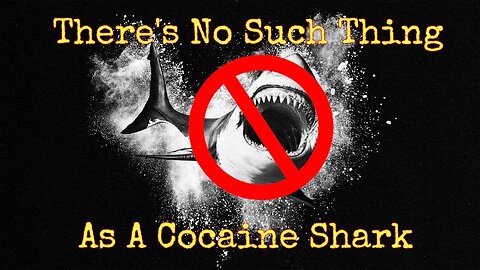 There's No Such Thing As A Cocaine Shark