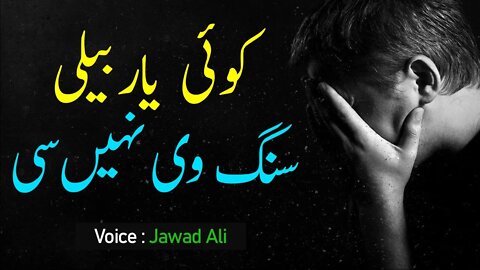 Punjabi Poetry Whatsapp Status | 💔Sad Shero Shayari Saraiki Dohray WhatsApp Status | Punjabi Shayari