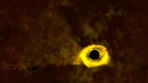 TEES Catches It's First Star-destroying Black Hole