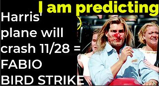 I am predicting: Harris' plane will crash on Nov 28 = FABIO BIRD STRIKE PROPHECY