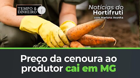 Preço da cenoura ao produtor cai em MG