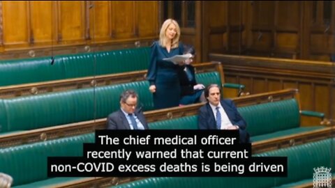 Parliamentary Investigation Request Into Global Excess Deaths