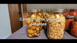 Canning home grown potatoes