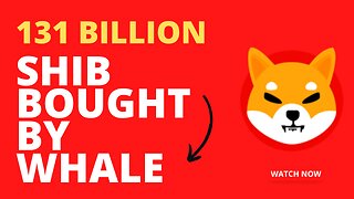 Billions Of SHIBA INU COIN Bought By Whale