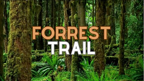 Forrest Trail! (Rest, sleep or Study)