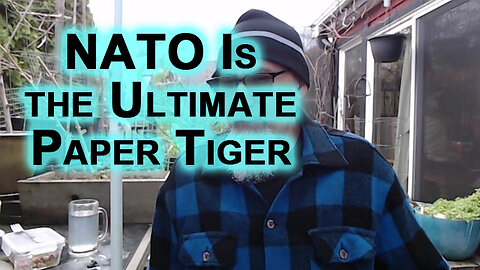 NATO Is Extremely Weak, the Ultimate Paper Tiger
