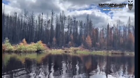 Pandémie de feux de forêts asymptomatiques Épisode 2, Clova, Feux Criminels, Déploiement Militaire