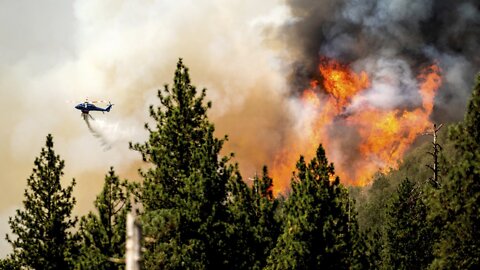 A Northern California Wildfire Has Forced Residents To Evacuate