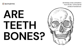 Are Teeth Bones?